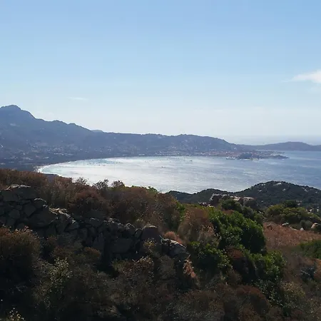 Mitile Aregno